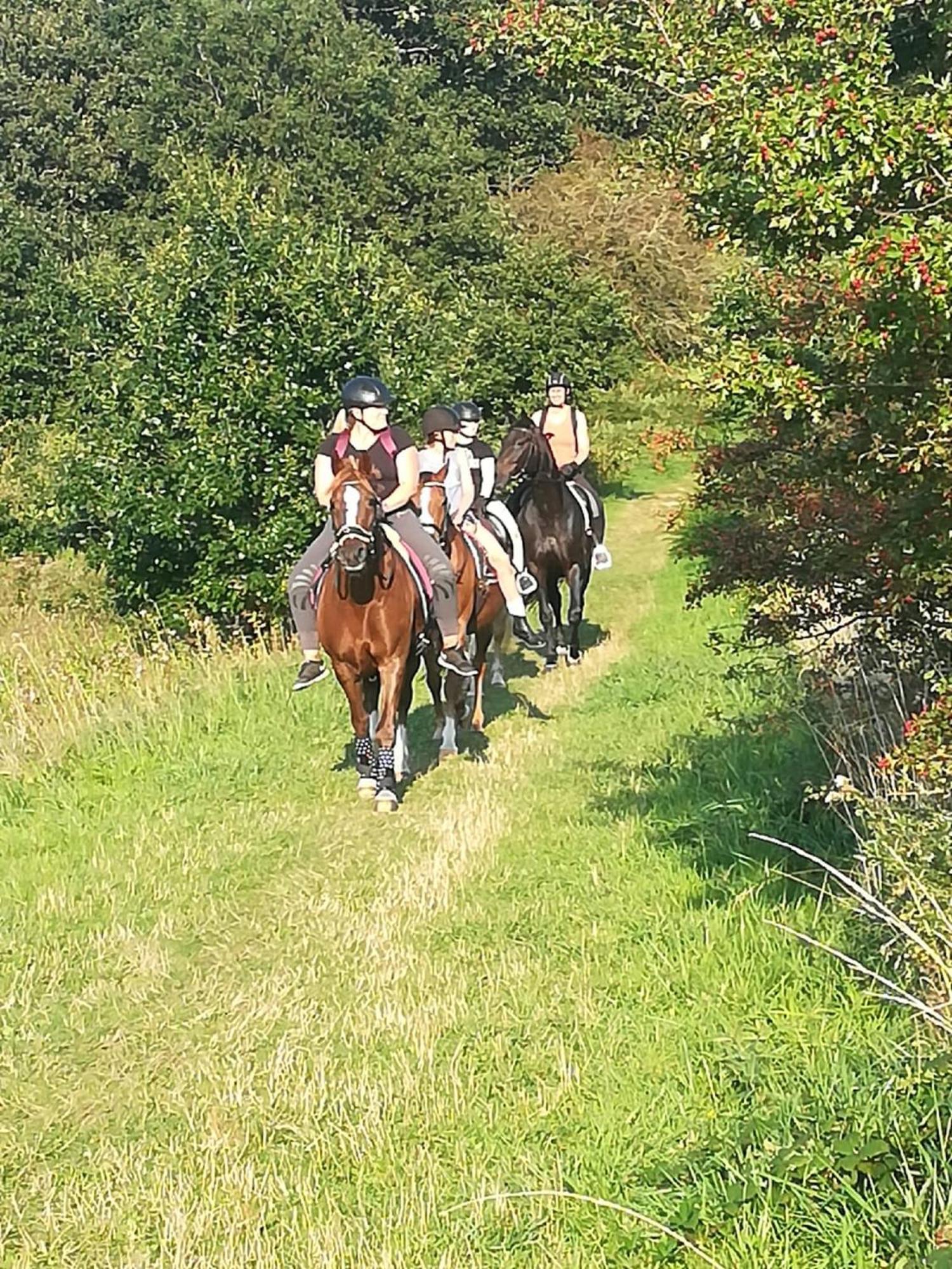 Ferienwohnung Reitanlage Baerenz Selk Zewnętrze zdjęcie